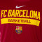 T-Shirt Nike FC Barcelona Dri-Fit Practice