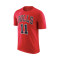 T-Shirt Nike Chicago Bulls Essential Icon Edition Demar Derozan