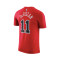 T-Shirt Nike Chicago Bulls Essential Icon Edition Demar Derozan