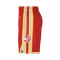 Short Nike Enfants Atlanta Hawks Icon Swingman