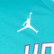 T-Shirt Jordan Enfants Charlotte Hornets Essential Icon Edition Lamelo Ball