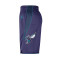 Short Jordan Enfant Charlotte Hornets Statement Swingman