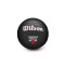 Ballon Wilson Enfant NBA Team Tribute Mini Chicago Bulls