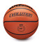 Ballon Wilson Evolution Basketball