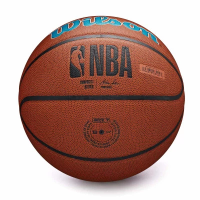 Ballon NBA Team Alliance Charlotte Hornets