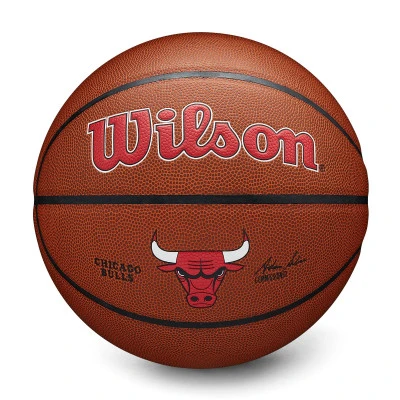 Ballon NBA Team Alliance Chicago Bulls