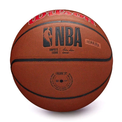 Ballon NBA Team Alliance Washington Wizards