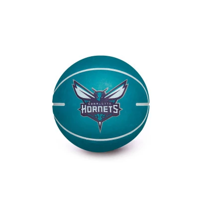 Ballon NBA Dribbler Charlotte Hornets