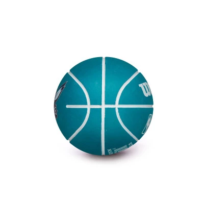 Ballon NBA Dribbler Charlotte Hornets