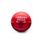 Ballon Wilson NBA Dribbler Chicago Bulls