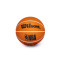 Ballon Wilson NBA Dribbler Phoenix Suns