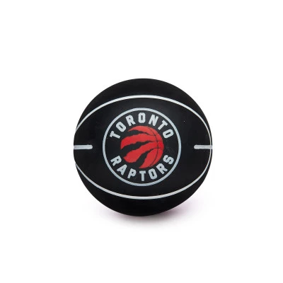 Ballon NBA Dribbler Toronto Raptors