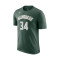 T-Shirt Nike Milwaukee Bucks Essential Icon Edition Giannis Antetokounmpo
