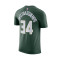 T-Shirt Nike Milwaukee Bucks Essential Icon Edition Giannis Antetokounmpo