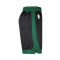 Short Jordan Boston Celtics Swingman Statement Edition