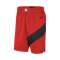 Short Nike Toronto Raptors Swingman Icon Edition