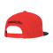 Casquette Mitchell & Ness Chicago Bulls Team 2 Tone 2.0 Snapback