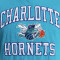 T-Shirt Mitchell & Ness Legendary Slub Charlotte Hornets