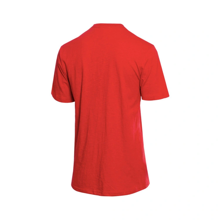 camiseta-mitchell-ness-legendary-slub-miami-heat-scarlet-5