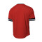 T-Shirt Mitchell & Ness Fashion Mesh V-Neck Miami Heat
