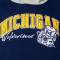 Sweat-shirt Mitchell & Ness University of Michigan NCAA
