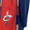 Short Mitchell & Ness Swingman Cleveland Cavaliers 2008