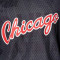 Top Mitchell & Ness Réversible Mesh Practice Tank Vintage Logo Chicago Bulls