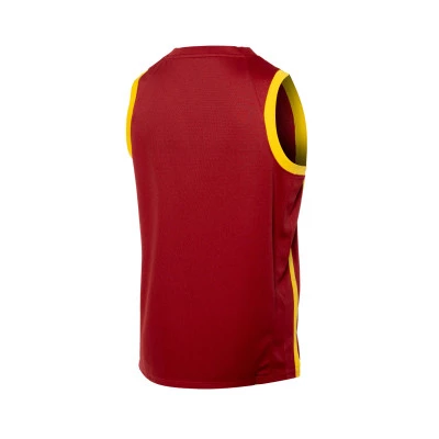 Maillot Femme Équipe nationale d'Espagne Limited Jersey Road 2024