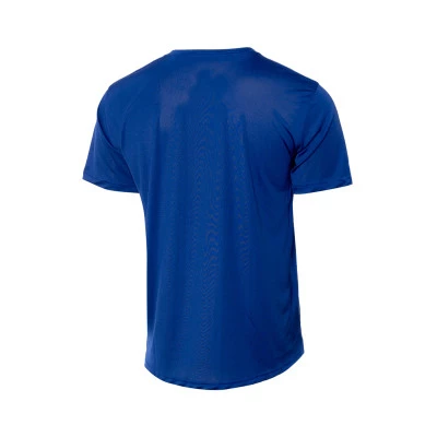 T-Shirt Équipe nationale de Grèce Training 2024