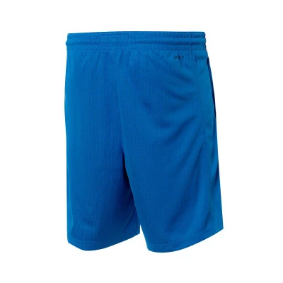 Short Équipe nationale de Grèce Limited Road 2024