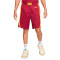 Short Nike Équipe nationale d'Espagne Limited Road 2024