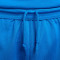 Short Nike Femme Équipe nationale de Grèce Limited Short Road 2024