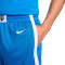 Short Nike Femme Équipe nationale de Grèce Limited Short Road 2024