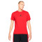 T-Shirt Jordan Jumpman Dri-Fit Crew