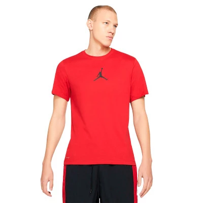 T-Shirt Jumpman Dri-Fit Crew