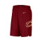 Short Nike Cleveland Cavaliers Swingman Icon Edition