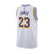Maillot Nike Los Angeles Lakers Swingman Association Edition Lebron James