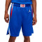 Short Jordan Équipe nationale de France LImited Road 2024