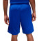 Short Jordan Équipe nationale de France LImited Road 2024