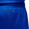 Short Jordan Équipe nationale de France LImited Road 2024