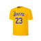 T-Shirt Nike Los Angeles Lakers Icon Edition Lebron James Preescolar
