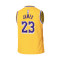 Maillot Nike Préscolaire Los Angeles Lakers Icon Edition LeBron James