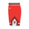 Short Nike Enfants Chicago Bulls Icon Edition Réplique