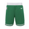 Short Nike Enfants Boston Celtics Icon Edition 2023-2024