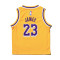 Maillot Nike Enfants Los Angeles Lakers Icon Edition Lebron James