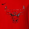 T-Shirt Nike Chicago Bulls Préscolaire