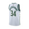 Maillot Nike Enfants Milwaukee Bucks Association Edition 2023-2024