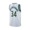 Maillot Nike Enfants Milwaukee Bucks Association Edition 2023-2024