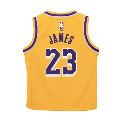 Maillot Los Angeles Lakers Icon Edition LeBron James Preescolar