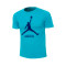 T-Shirt Jordan Enfants Essential Club Charlotte Hornets